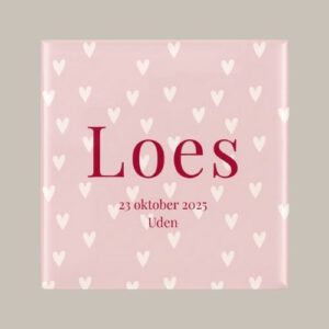 135 Geboorte tegeltje: hartjes