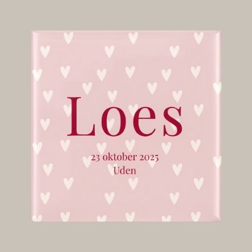 Geboorte tegeltje: hartjes