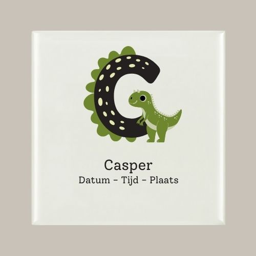138 Geboorte tegeltje: Dino en letter naam