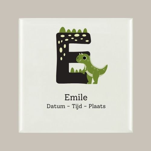 140 Geboorte tegeltje: Dino en letter naam