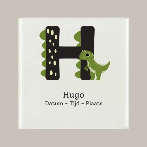 143 Geboorte tegeltje: Dino en letter naam