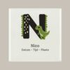 149 Geboorte tegeltje: Dino en letter naam
