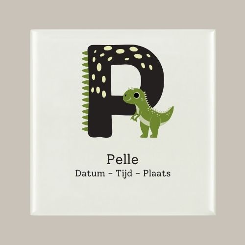 151 Geboorte tegeltje: Dino en letter naam