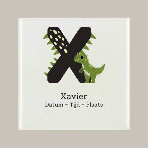 159 Geboorte tegeltje: Dino en letter naam