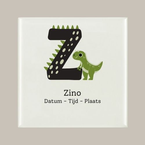 161 Geboorte tegeltje: Dino en letter naam